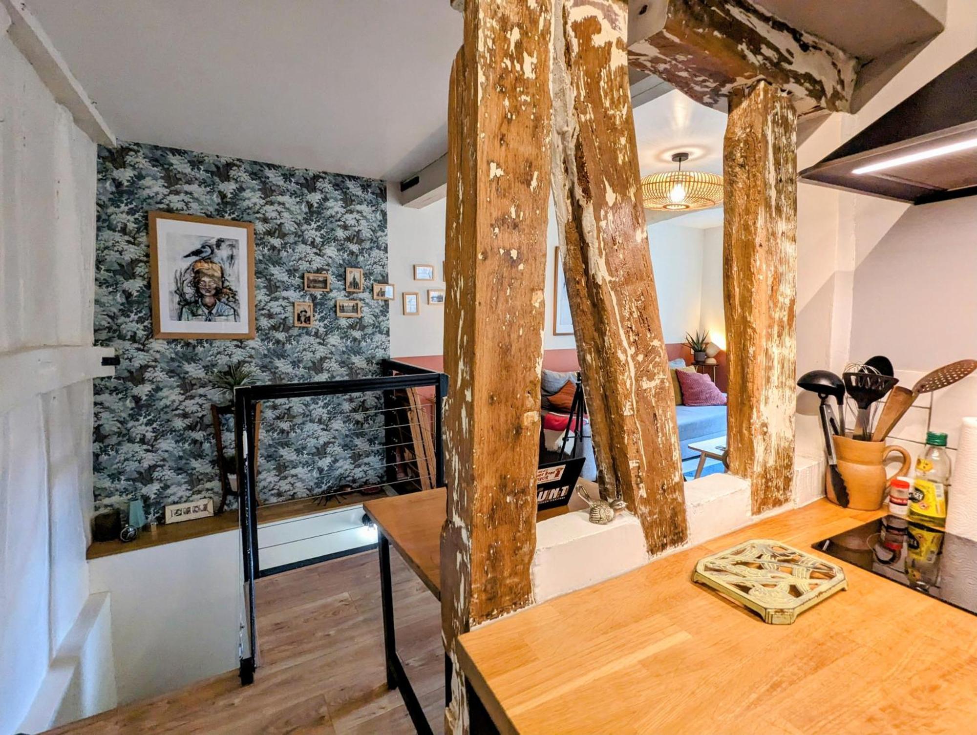 Artist Home - City Center - Bathtub - Terrasse - Full Appartment 루앙 외부 사진